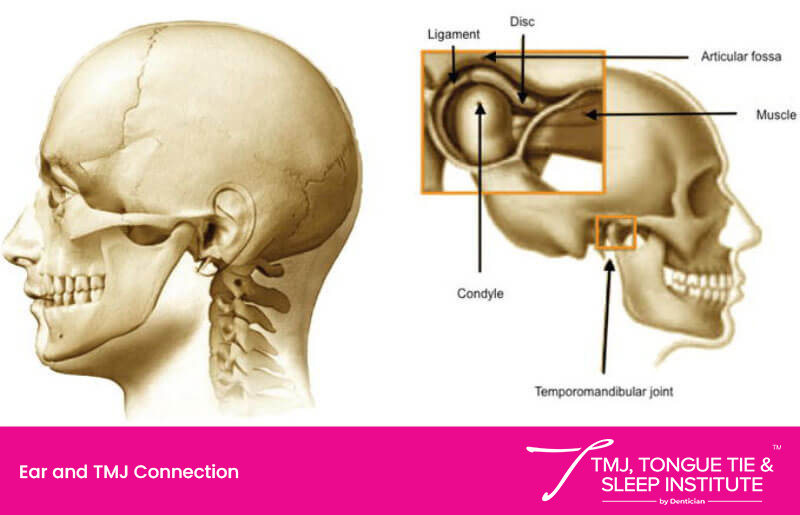 ear-and-tmj-connected